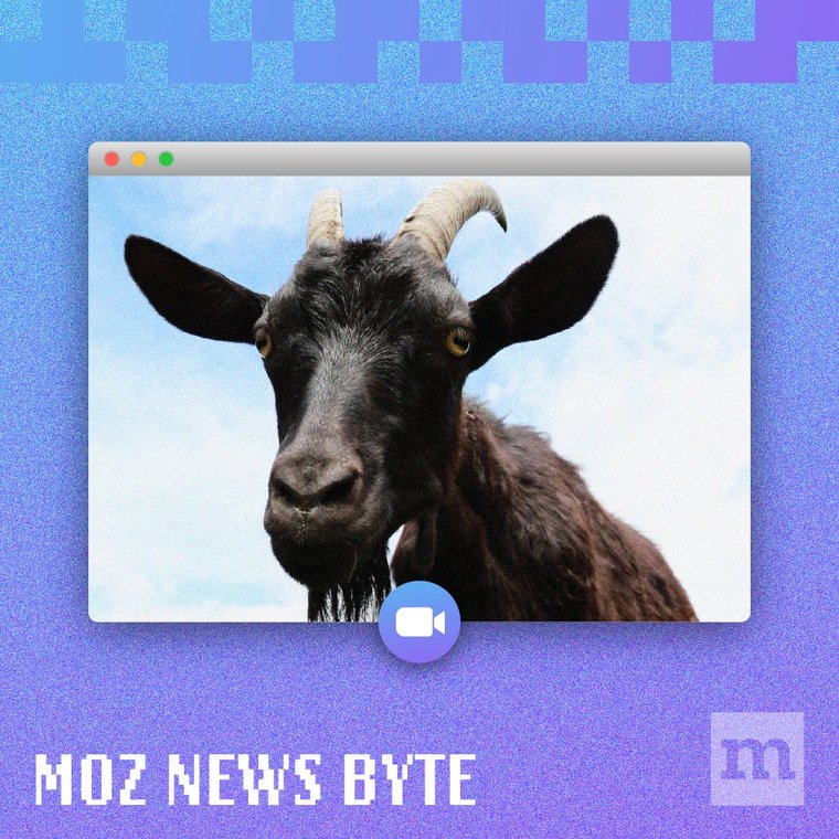 Are Goats The New Cat?