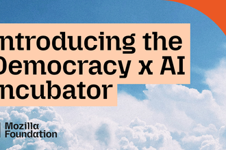 Introducing the Democracy x AI cohort