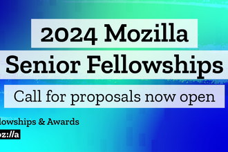 Senior Fellows - Applications Open | 2024