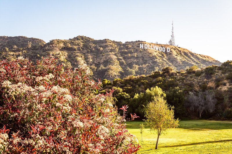Hollywood sign from a park