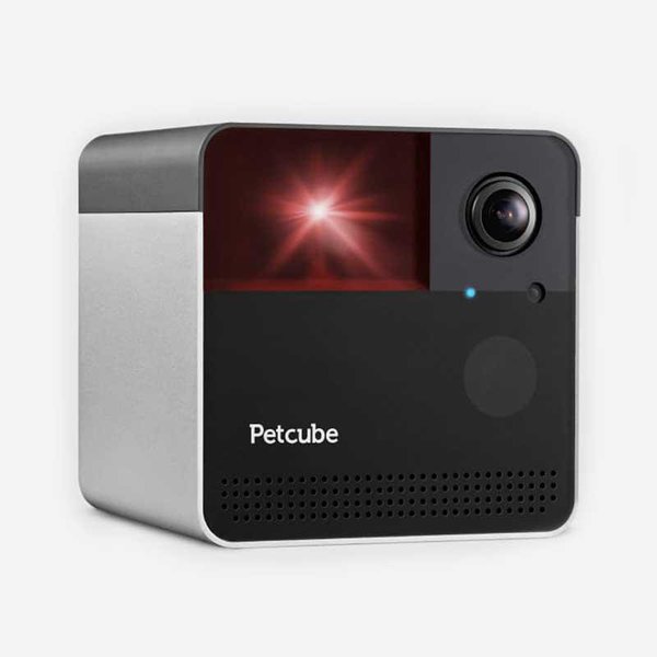 Link zu Petcube Play 2 & Bites 2