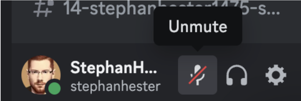 An image of the A/V controls in Discord