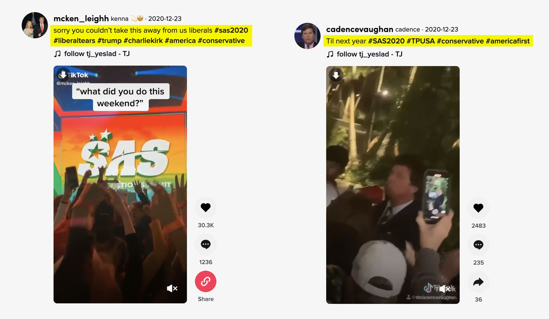 TikTok-examples-01.jpg