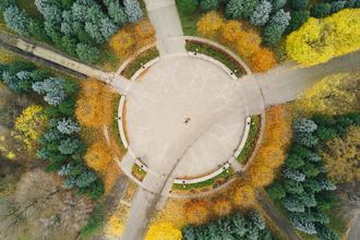 Martin Reisch Unsplash.jpeg