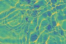 ripple.JPG