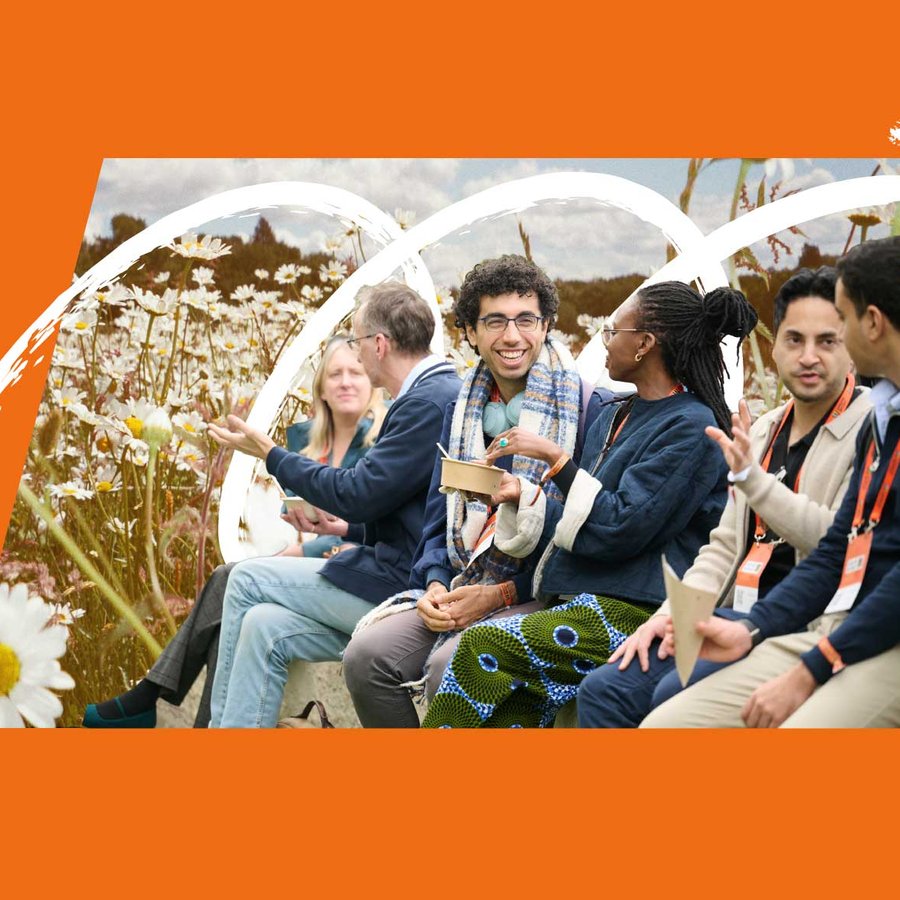 wilding-theme-orange